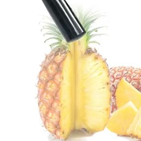 Mesin Pengupas Nanas Rumah Tan - Home Improvement Mall ulasan dan harga